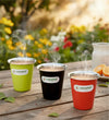 Coconut Stainless Steel Colour Glass Set of 6 | Food Grade Tea, Coffee, Water & Juice Tumbler | Heavy Gauge Mirror Finish Steel Glass | Available in Red, Black & Green Colours | BPA Free & Durable | Model - A38 Colour Glass.