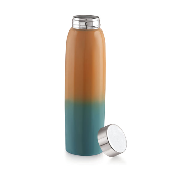 Coconut WB27 Popo Stainless Steel Water Bottle | Stylish Dual Tone Finish | Leakproof, BPA-Free, Rust-Proof Metal Bottle | Durable & Sleek for Office, Gym & Travel.