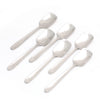 Coconut Stainless Steel Ice Cream Spoon, Set of 6