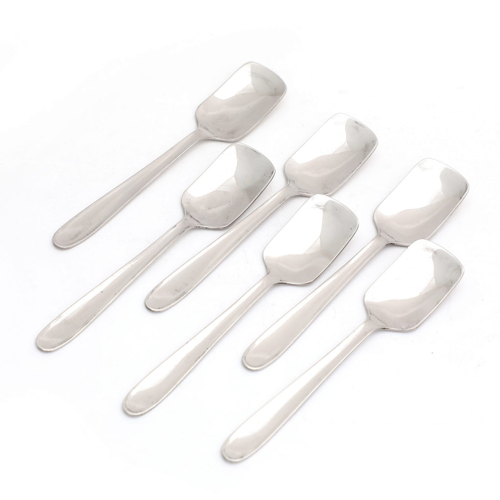 Coconut Stainless Steel Ice Cream Spoon, Set of 6